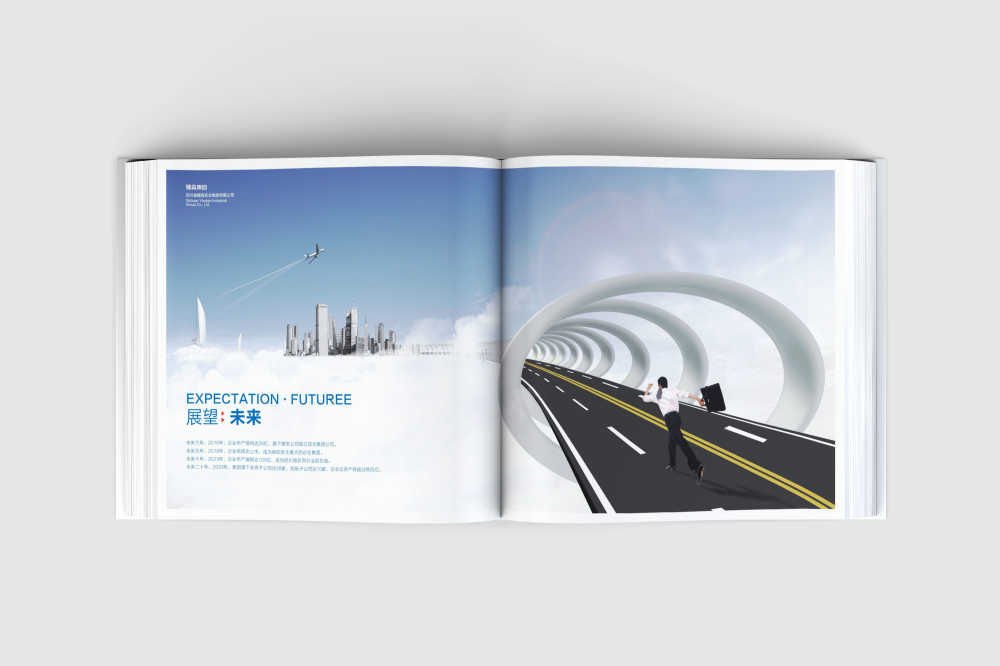 桥西区画册设计